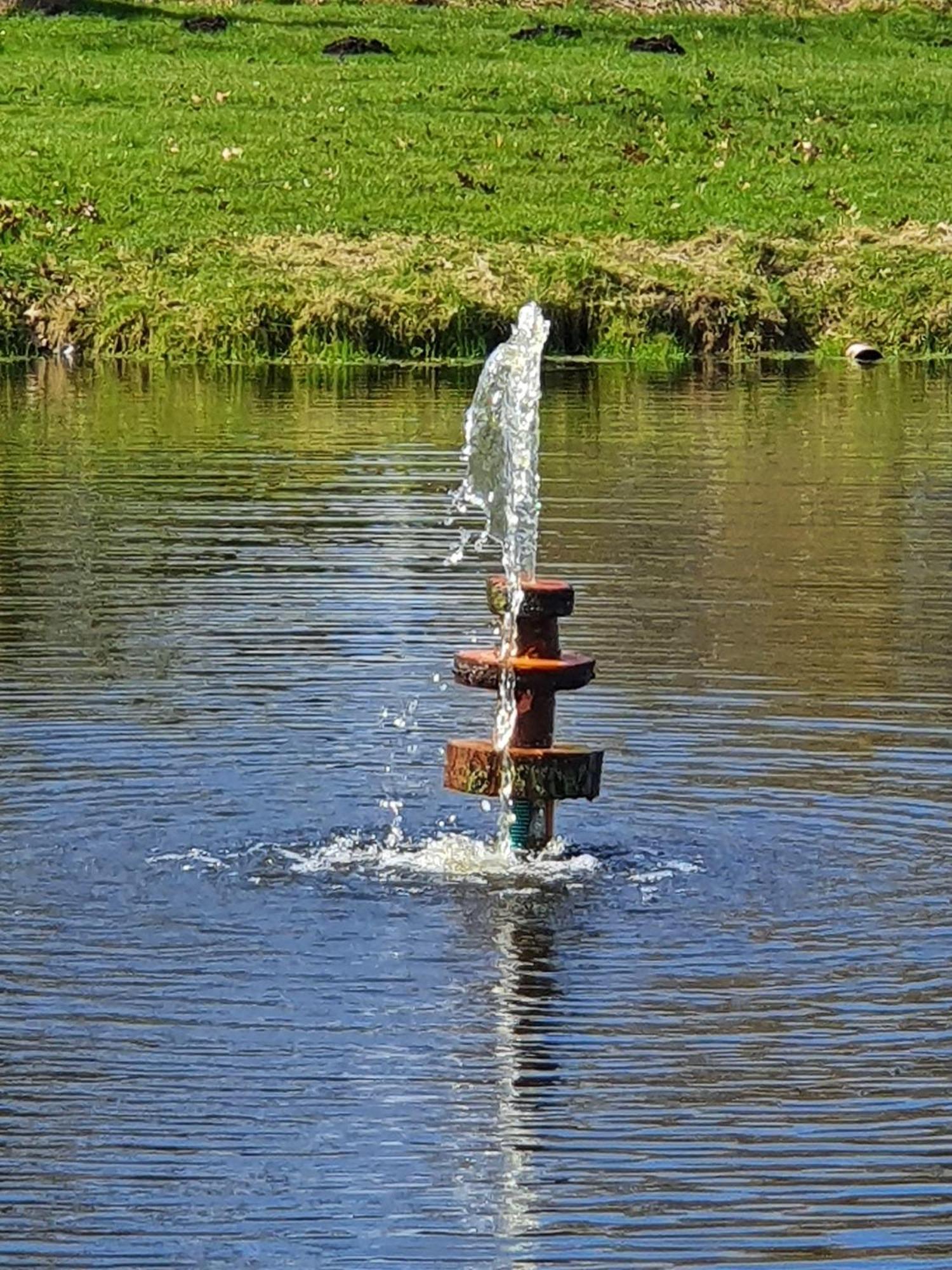 Idyllisches-Blockbohlenhaus-Mit-Eigenem-Garten-Und-Sauna-Zum-Wohlfuehlen Martensrade Exteriör bild