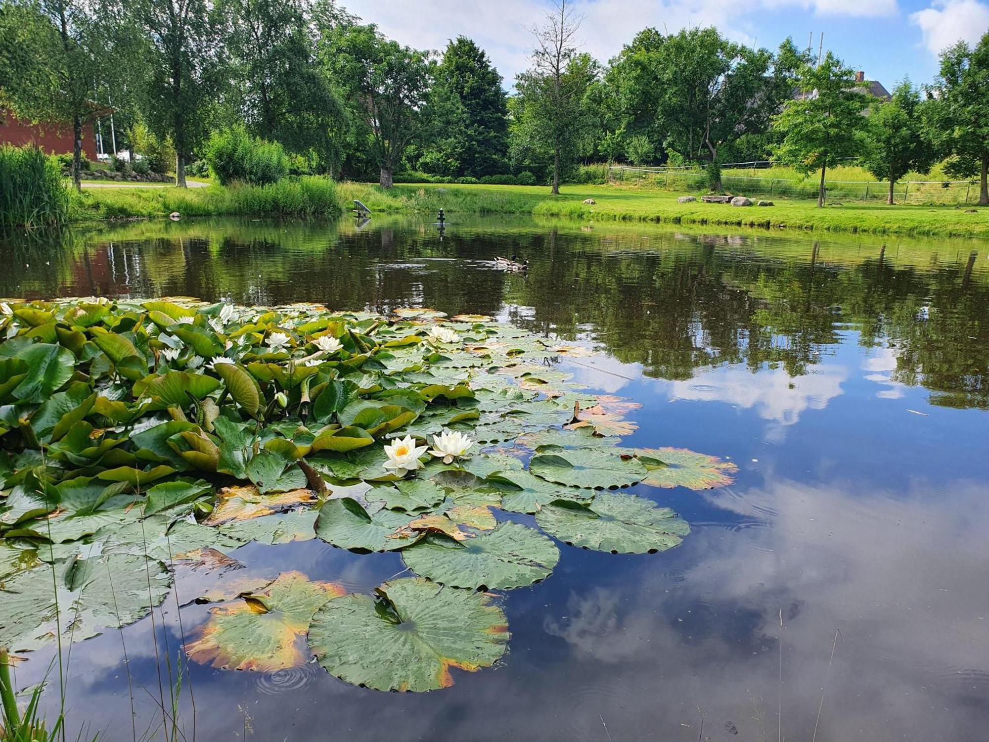 Idyllisches-Blockbohlenhaus-Mit-Eigenem-Garten-Und-Sauna-Zum-Wohlfuehlen Martensrade Exteriör bild