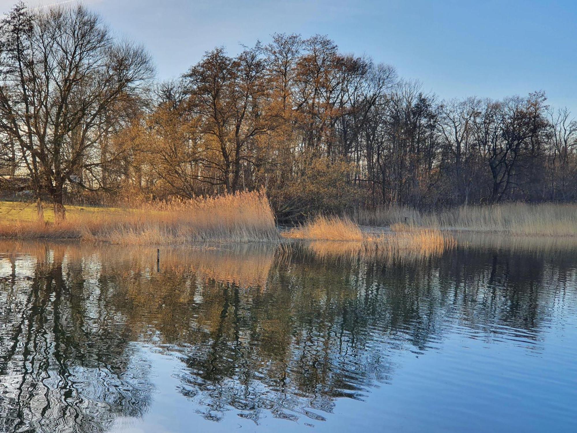 Idyllisches-Blockbohlenhaus-Mit-Eigenem-Garten-Und-Sauna-Zum-Wohlfuehlen Martensrade Exteriör bild